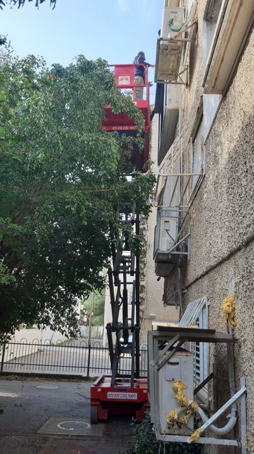 כמה עולה גיזום מעוצב לשיחים גבוהים