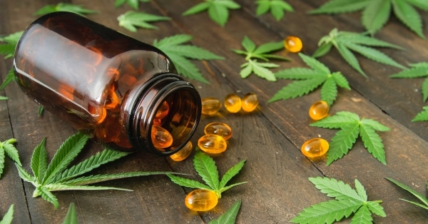 קפסולות cbd
